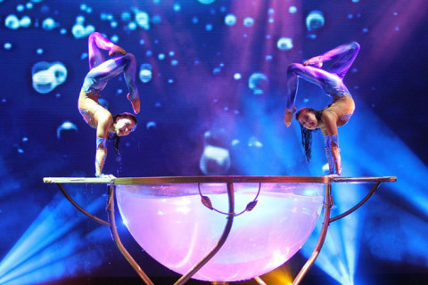 Aqua Mermaids